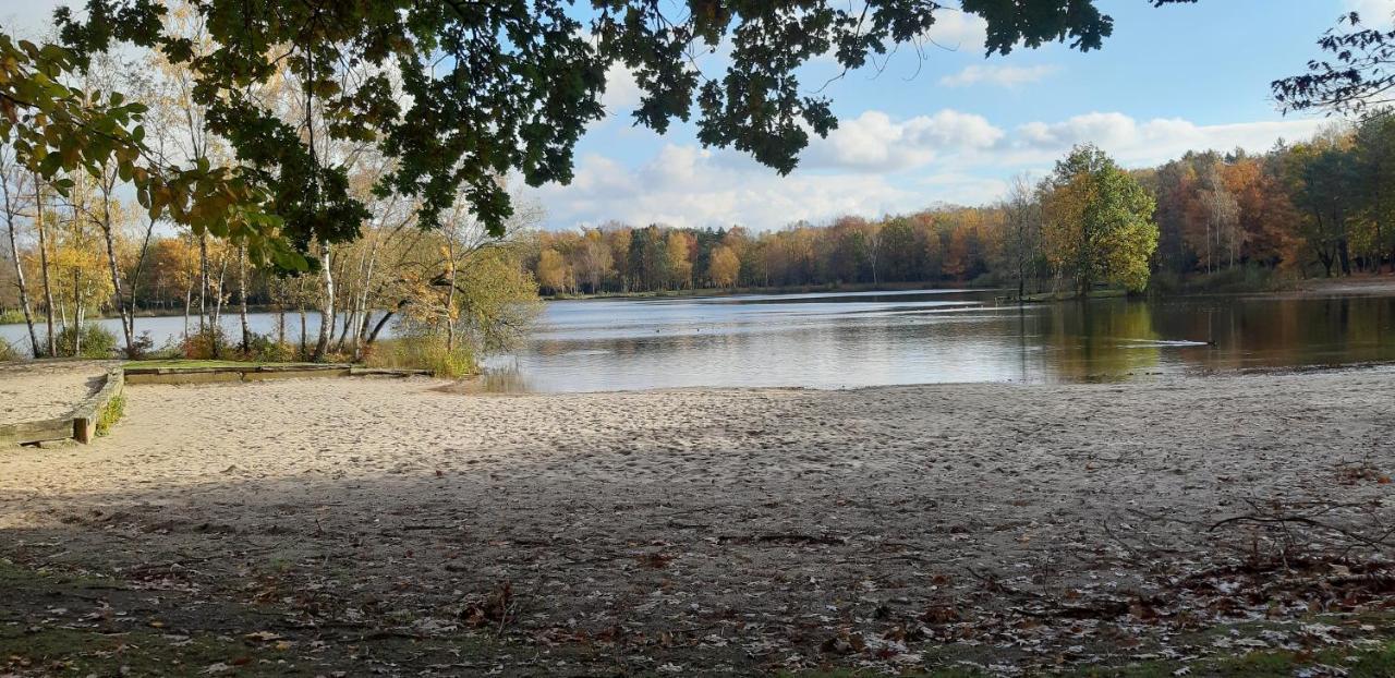 Zonnige Vrijstaande Bungalow In Prachtige Omgeving! Rekem المظهر الخارجي الصورة